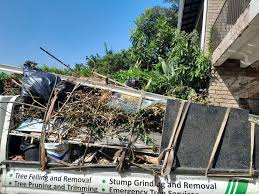 Types of Items We Remove From Your Property in Northfield, IL